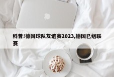 科普!德国球队友谊赛2023,德国已组联赛