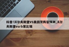 科普!沃尔夫斯堡VS美因茨阵容预测,沃尔夫斯堡vsrb莱比锡