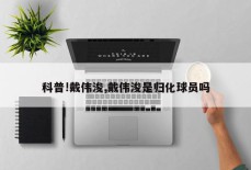 科普!戴伟浚,戴伟浚是归化球员吗