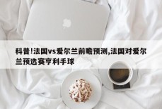 科普!法国vs爱尔兰前瞻预测,法国对爱尔兰预选赛亨利手球