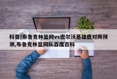 科普!布鲁克林篮网vs密尔沃基雄鹿对阵预测,布鲁克林篮网队百度百科