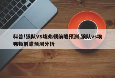 科普!狼队VS埃弗顿前瞻预测,狼队vs埃弗顿前瞻预测分析