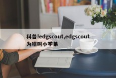 科普!edgscout,edgscout为啥叫小学弟