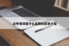 法甲用球是什么品牌的简单介绍