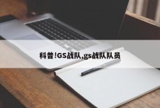 科普!GS战队,gs战队队员