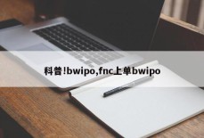 科普!bwipo,fnc上单bwipo