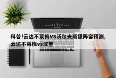 科普!云达不莱梅VS沃尔夫斯堡阵容预测,云达不莱梅vs汉堡