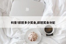 科普!欧冠多少奖金,欧冠奖金分配