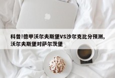 科普!德甲沃尔夫斯堡VS沙尔克比分预测,沃尔夫斯堡对萨尔茨堡