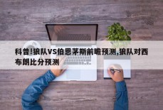 科普!狼队VS伯恩茅斯前瞻预测,狼队对西布朗比分预测