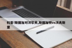 科普!斯图加对沃尔夫,斯图加特vs沃夫斯堡