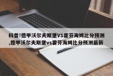 科普!德甲沃尔夫斯堡VS霍芬海姆比分预测,德甲沃尔夫斯堡vs霍芬海姆比分预测最新